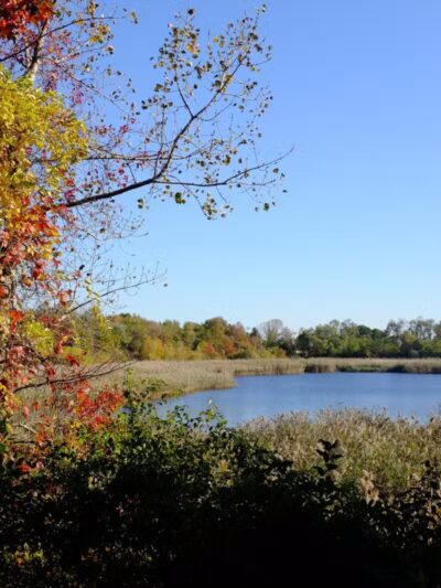 Ridgewood Reservoir - Brooklyn, NY