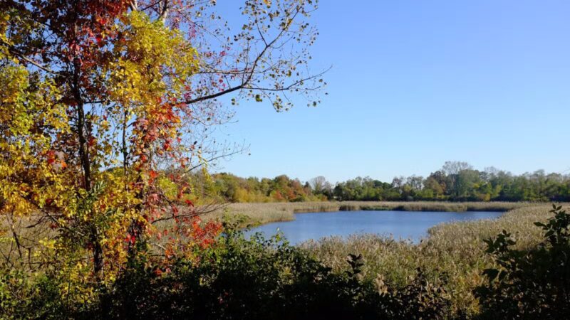 Ridgewood Reservoir - Brooklyn, NY