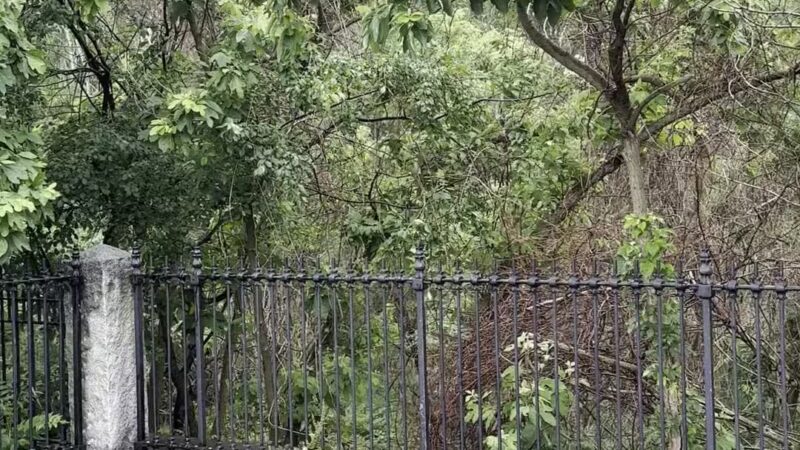 Ridgewood Reservoir - Brooklyn, NY