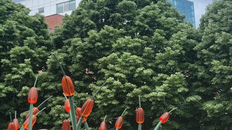 South Oxford Park - Brooklyn, NY