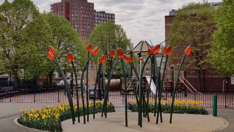 South Oxford Park - Brooklyn, NY