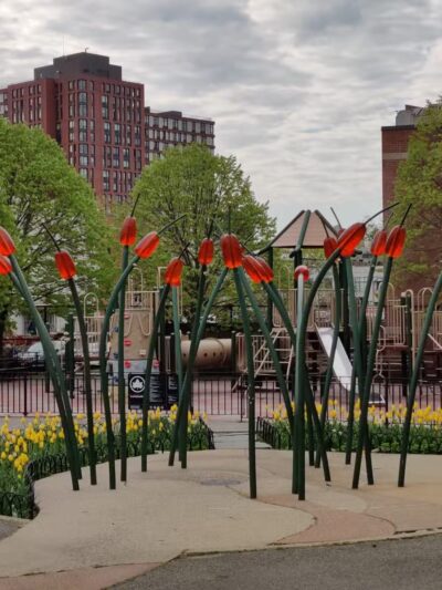 South Oxford Park - Brooklyn, NY