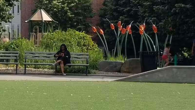 South Oxford Park - Brooklyn, NY