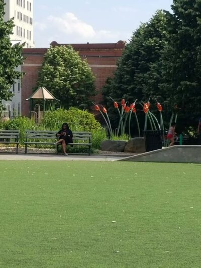 South Oxford Park - Brooklyn, NY