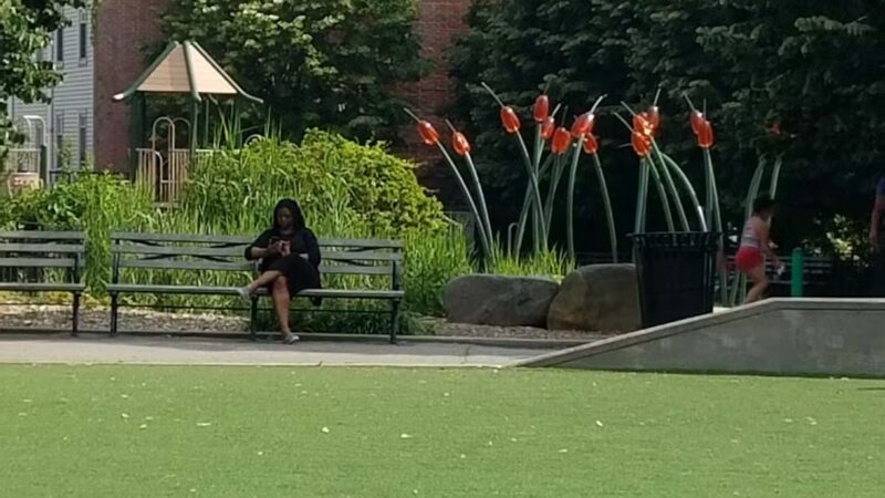 South Oxford Park - Brooklyn, NY