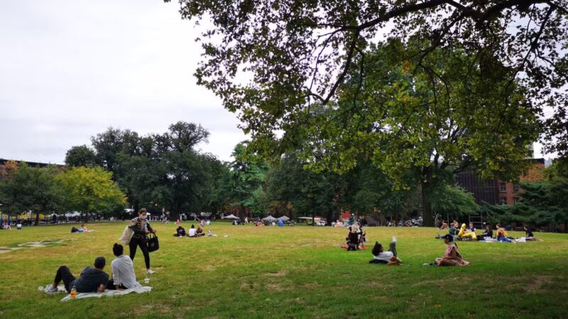 Fort Greene Park - Brooklyn, NY