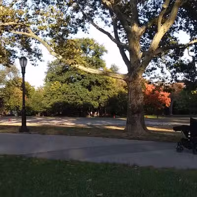 Fort Greene Park - Brooklyn, NY
