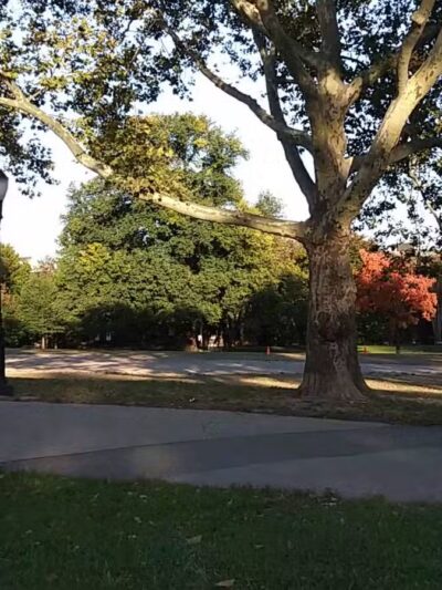 Fort Greene Park - Brooklyn, NY