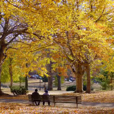 Owl's Head Park - Brooklyn, NY