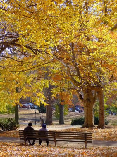 Owl's Head Park - Brooklyn, NY