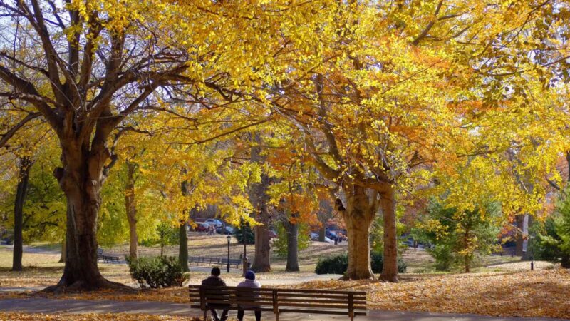 Owl's Head Park - Brooklyn, NY