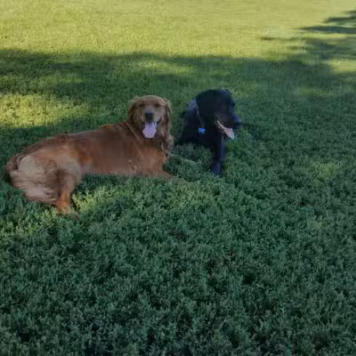 Brookdale Park & Dog Park - Brooklyn Park, MN