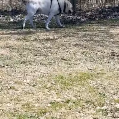 Brookdale Park & Dog Park - Brooklyn Park, MN
