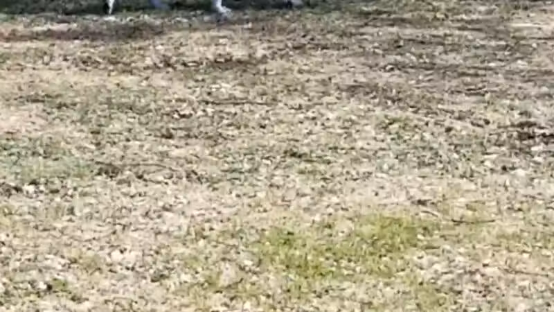 Brookdale Park & Dog Park - Brooklyn Park, MN