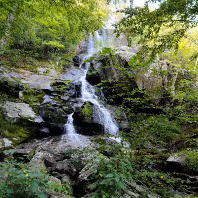 Apple Orchard Falls Trailhead - Buchanan, VA