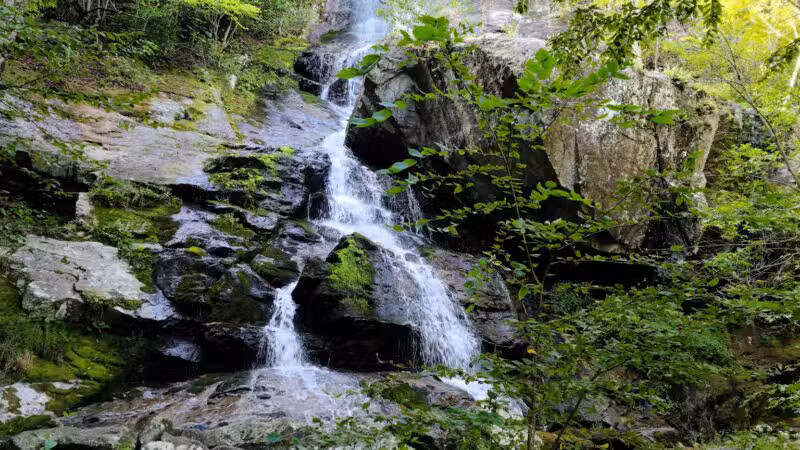 Apple Orchard Falls Trailhead - Buchanan, VA