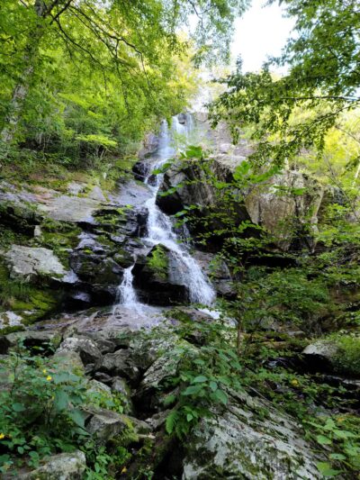 Apple Orchard Falls Trailhead - Buchanan, VA