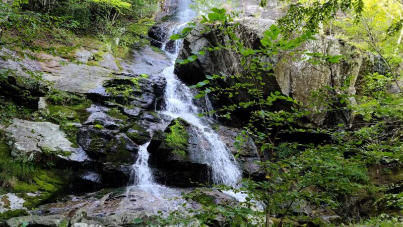 Apple Orchard Falls Trailhead - Buchanan, VA