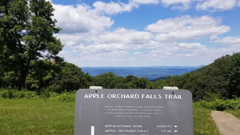 Apple Orchard Falls Trailhead - Buchanan, VA