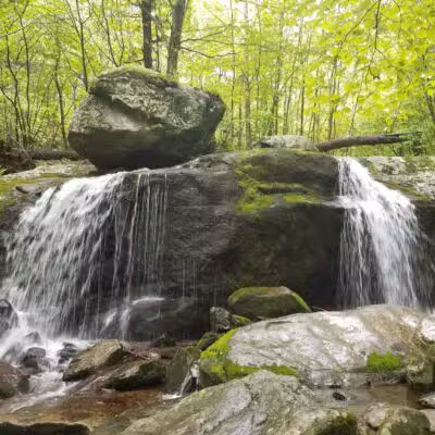 Apple Orchard Falls Trailhead - Buchanan, VA