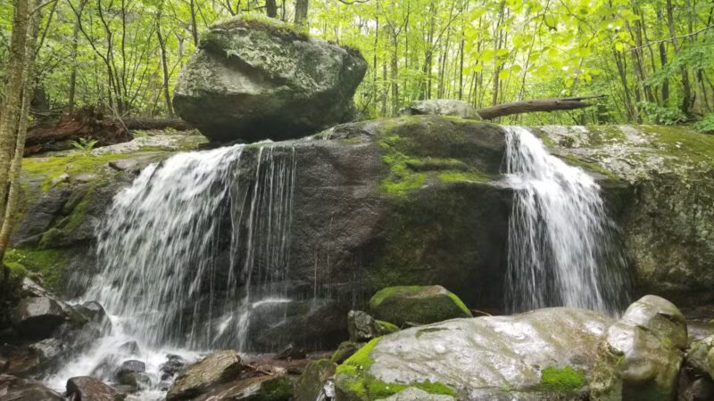 Apple Orchard Falls Trailhead - Buchanan, VA