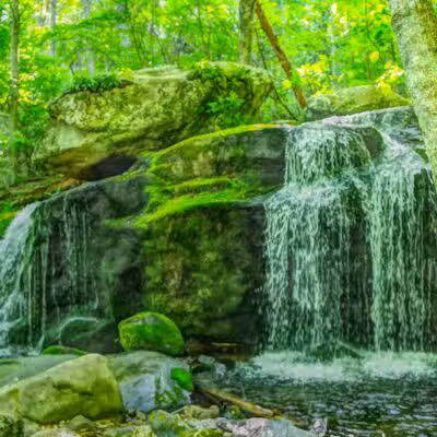 Apple Orchard Falls Trailhead - Buchanan, VA