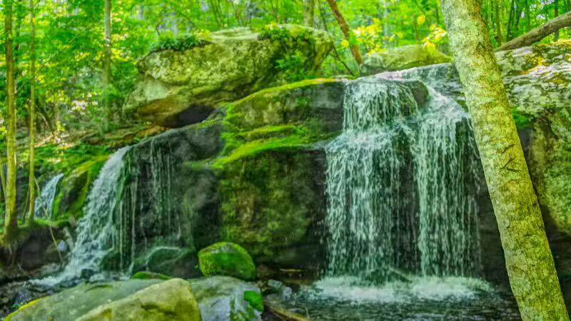 Apple Orchard Falls Trailhead - Buchanan, VA