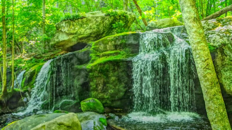 Apple Orchard Falls Trailhead - Buchanan, VA