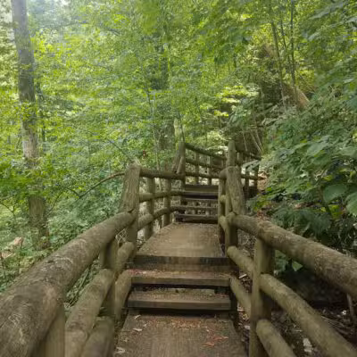 Apple Orchard Falls Trailhead - Buchanan, VA