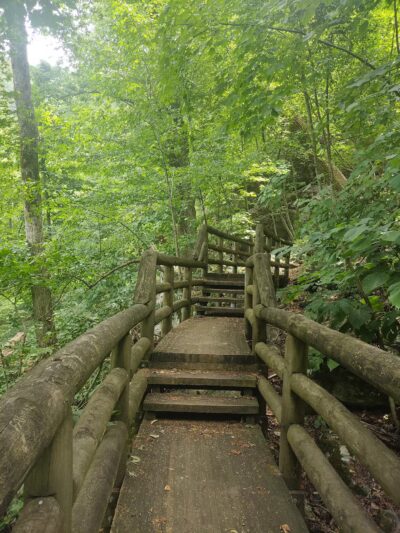 Apple Orchard Falls Trailhead - Buchanan, VA