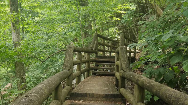 Apple Orchard Falls Trailhead - Buchanan, VA