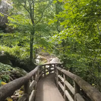 Apple Orchard Falls Trailhead - Buchanan, VA
