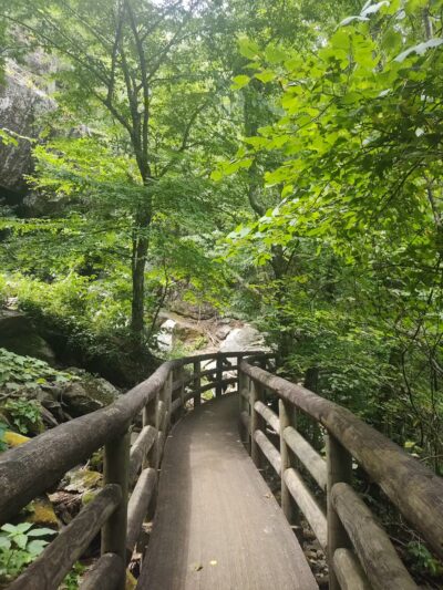 Apple Orchard Falls Trailhead - Buchanan, VA