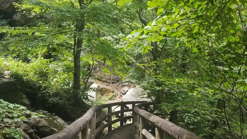Apple Orchard Falls Trailhead - Buchanan, VA