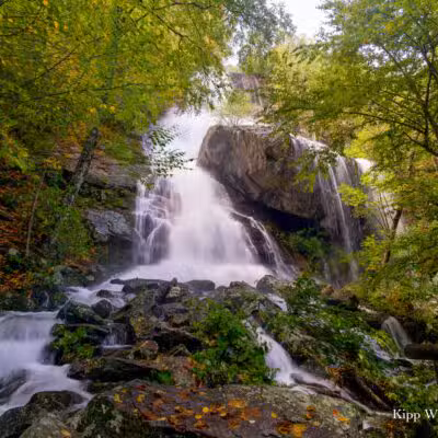 Apple Orchard Falls Trailhead - Buchanan, VA