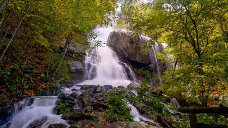 Apple Orchard Falls Trailhead - Buchanan, VA