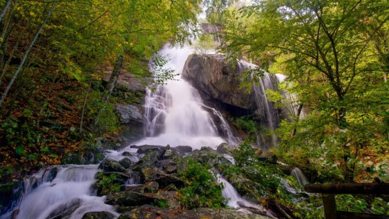 Apple Orchard Falls Trailhead - Buchanan, VA