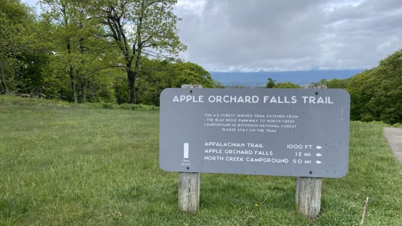 Apple Orchard Falls Trailhead - Buchanan, VA