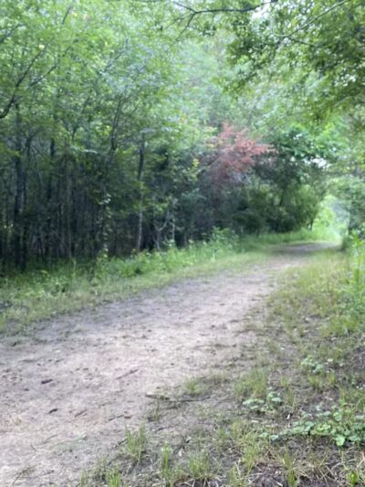 Lost Oak Bike & Hike Trail-head - Burleson, TX