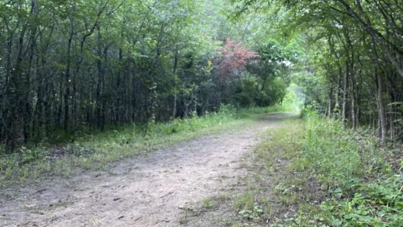 Lost Oak Bike & Hike Trail-head - Burleson, TX