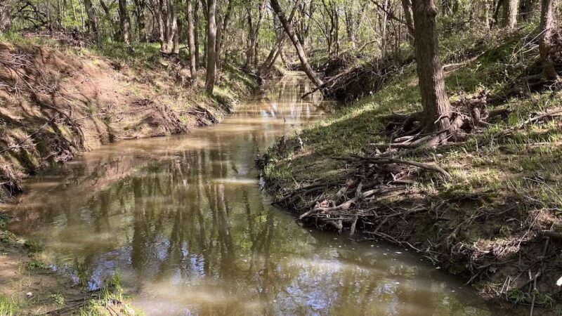Lost Oak Bike & Hike Trail-head - Burleson, TX