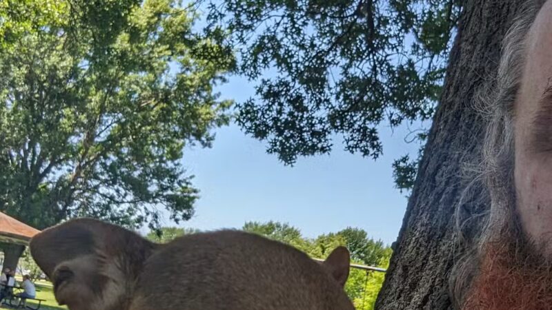 Butler Municipal Park - Butler, MO