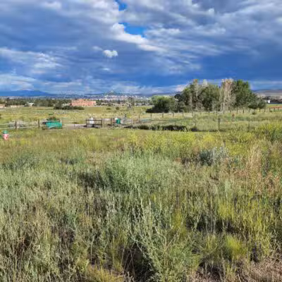 Skyline Dog Park/ Kids Fishing Pond - Butte, MT
