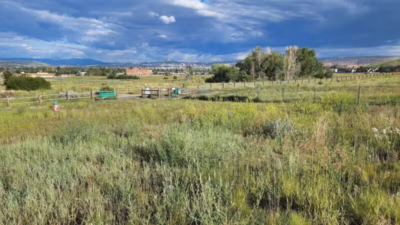 Skyline Dog Park/ Kids Fishing Pond - Butte, MT
