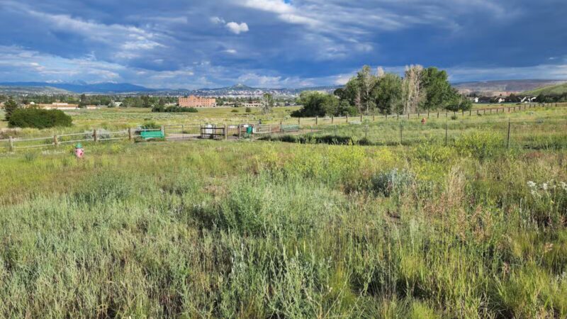 Skyline Dog Park/ Kids Fishing Pond - Butte, MT