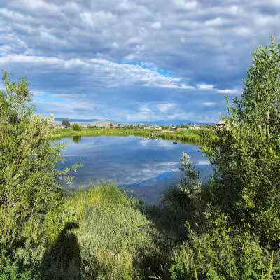 Skyline Dog Park/ Kids Fishing Pond - Butte, MT
