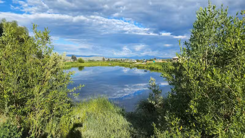 Skyline Dog Park/ Kids Fishing Pond - Butte, MT