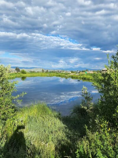 Skyline Dog Park/ Kids Fishing Pond - Butte, MT