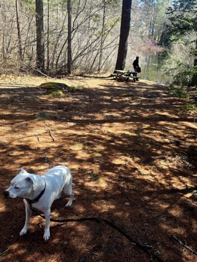 Hodson Park (Town of Camden) - Camden, ME