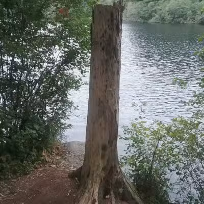 Hodson Park (Town of Camden) - Camden, ME